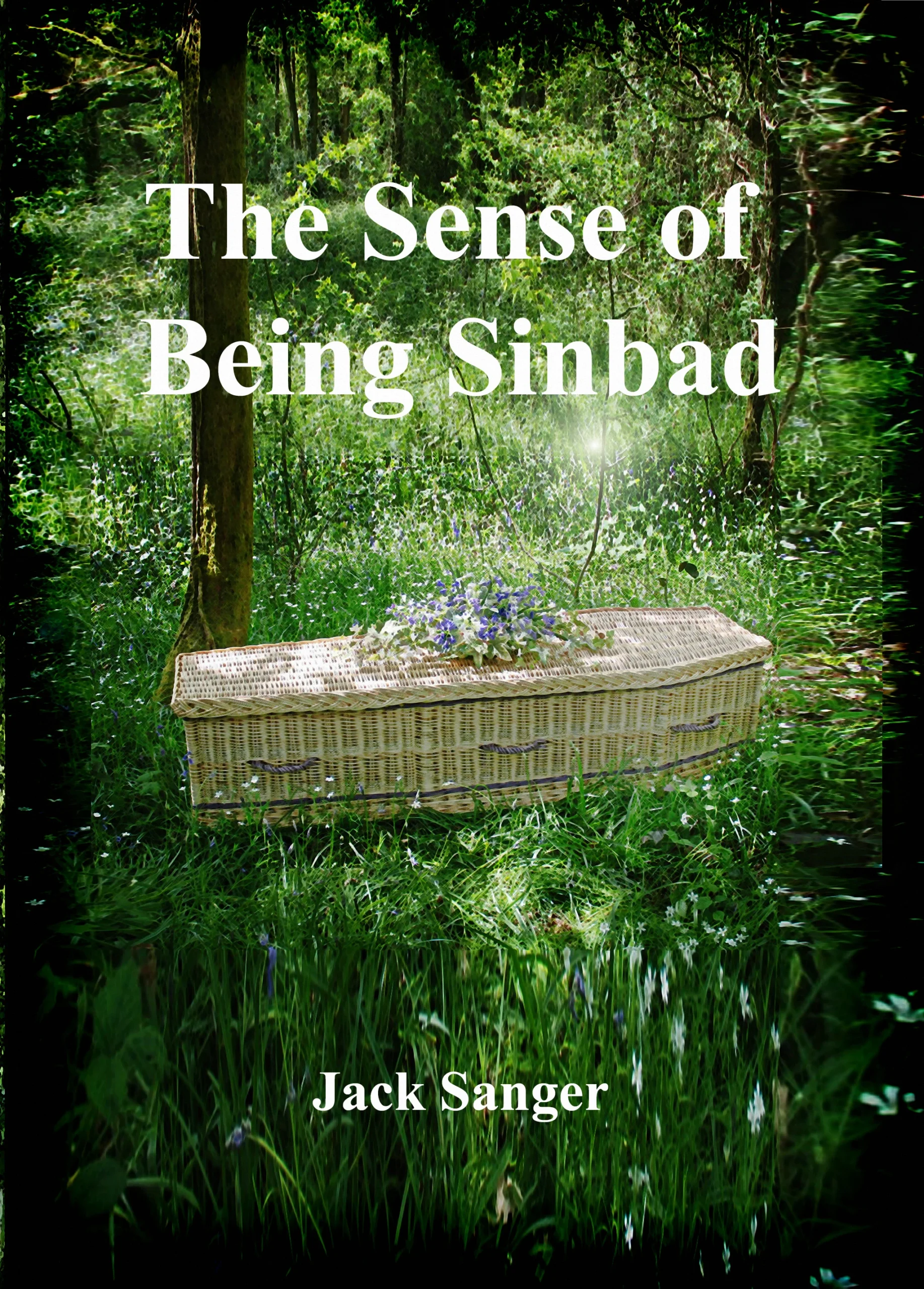 The Sense of Being Sinbad